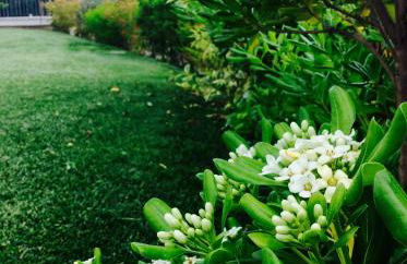 Agriturismo La Torretta - Foto 25