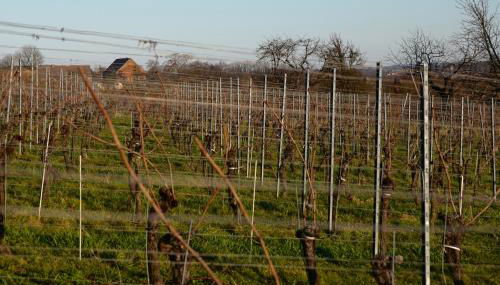 Quartier Rottewitz - Foto 2