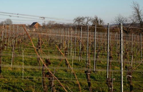 Quartier Rottewitz - Foto 2