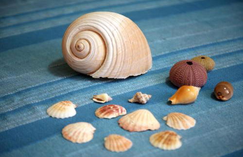 Terra Di Mare - Foto 20