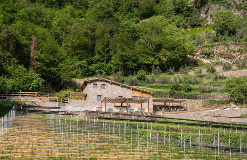 Agriturismo Scraleca - Foto 11