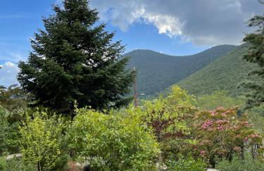 Levidi Horizon - Foto 52