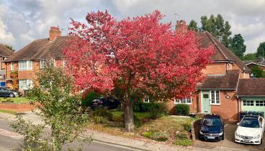 Serviced Studio in Bournville - Foto 3