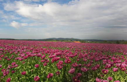 Ferienwohnung Ermstal - Foto 17