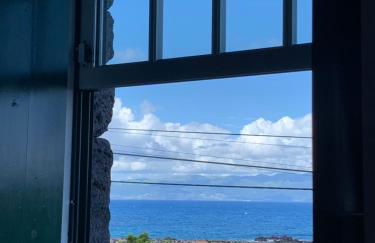 Adega da Prainha - Photo 13