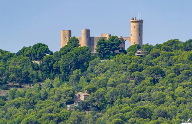 Ultimate Palma Tour: Historic Highlights Palaces, Gardens & Cathedral Tour - Foto 15