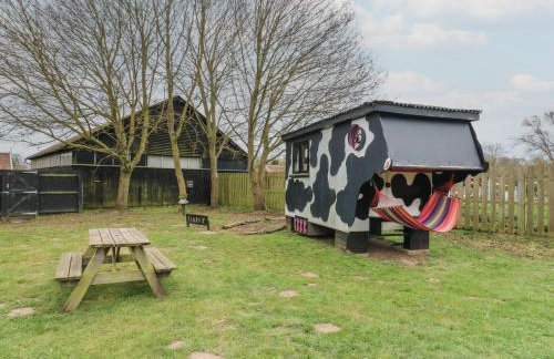 Daisy Cow Shed 1 - Foto 14