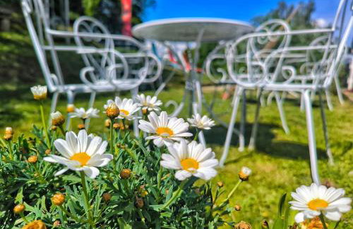 Discover the magic of nature - Foto 28