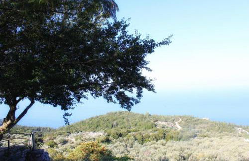 Carmel Villas - Photo 7