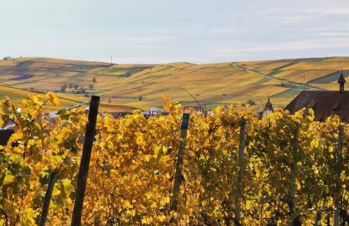 Ferienwohnung Birkental - Foto 32
