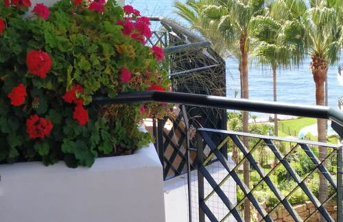 Mi Capricho - Photo 20