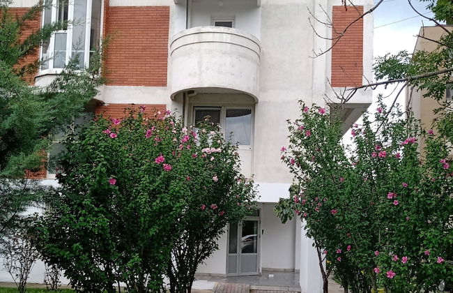 Near Lake, With View, Center - Photo 15