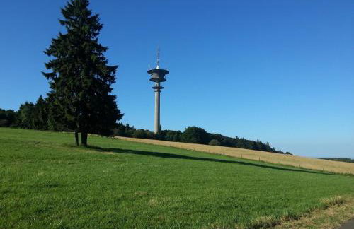 Dog-friendly Holiday Home in the Knull - Foto 55