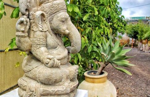 FINCA BEROLO 1 - Foto 31