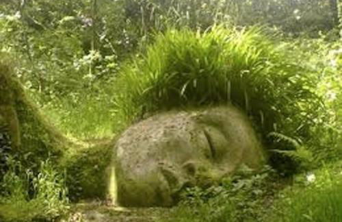 Wheel Water Collections - Foto 35