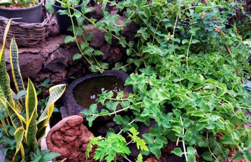 Casa Omaira y Nacho - Foto 69