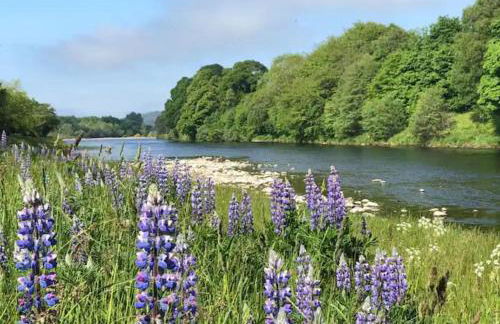 St Marys Farmhouse - Traditional Country Farmhouse with Open Fire - Foto 17