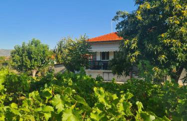 Villa Anna - Foto 14