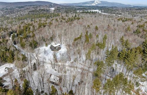 Classic Stratton Ski Chalet - Foto 62