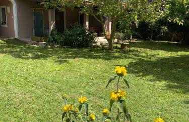 Apartman "Almond house 2" - Foto 16