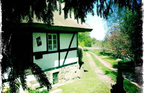 Apartment Vera, Nähe Binz in traumhafter Alleinlage, 4-8 P. - Foto 1