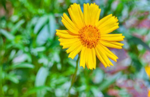 Cozy Appalachian Getaway 5 Mi to Prospect Peak! - Photo 33