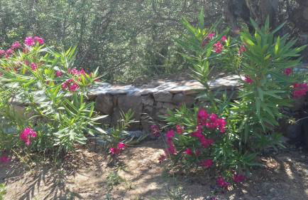 Azienda Agrituristica La Janna di la Faj - Foto 54