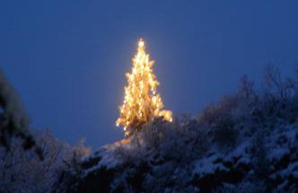 Apparthotel Gartenresidence Nalserhof - Foto 6