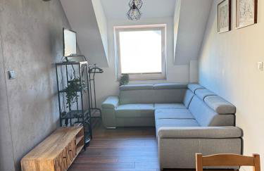 Uroczy apartament z dostępnym parkingiem i ogrodem - Foto 1