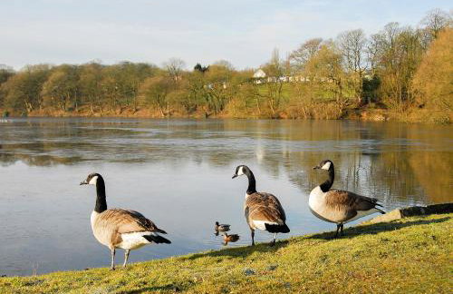 South Lodge Cottage - Photo 9