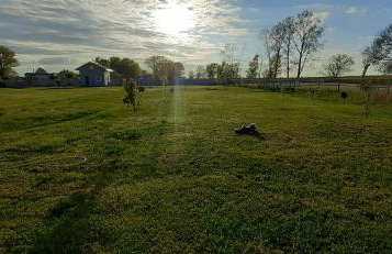 Wierzbowa Ostoja - Domek letniskowy BOSMAN - Photo 32