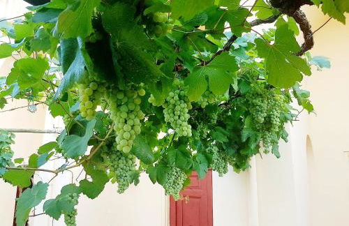 Dimora del Conte Sorrento coast seaview - Foto 54