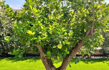 Villa Ikal - Foto 22