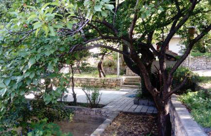 Apartman "Tartaruga" - Foto 4