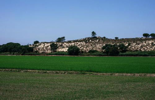Herdade de Montalvo - Comporta - Photo 16