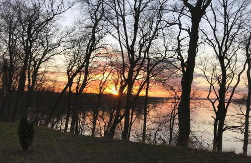 Raben Steinfeld Forststrasse Am Residence-Park - Foto 26