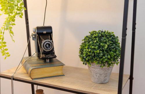 Casa Borda da Rocha - Photo 23