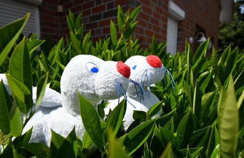 Ferienhaus Carolinenbrise - Foto 22