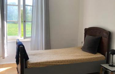 Gutshaus am Nationalpark Unteres Odertal - Foto 29