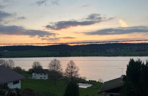 Chalet Charmant rénové au bord du Lac St Point - Foto 63