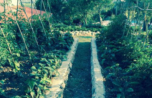 Dimorra Country House - Foto 27