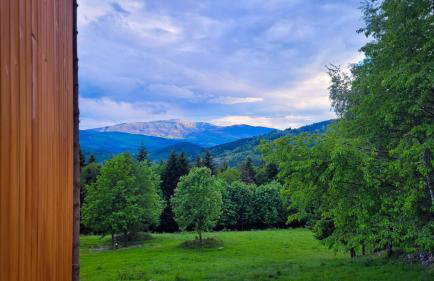 Domki na polanie - Foto 15