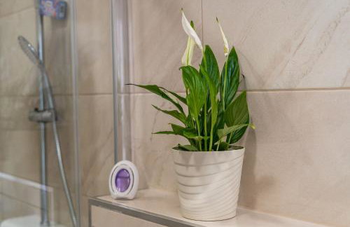 Apartmani Kralj - Foto 16