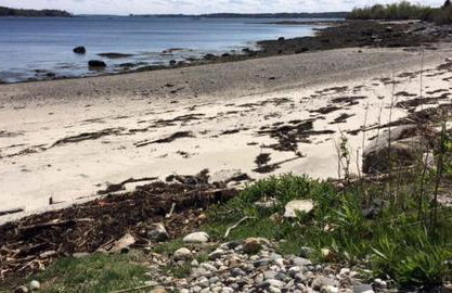 Rustic Cabin on Sturdivant Island with Views of Casco Bay in Falmouth, Maine - Foto 7