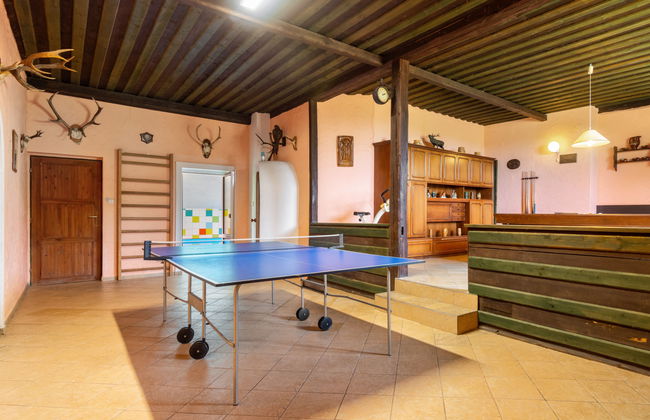 Haus Polivka - Foto 28