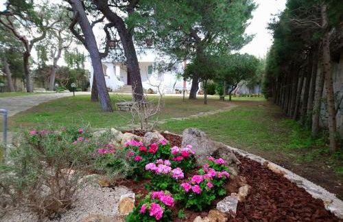 Villa Memia - Foto 8