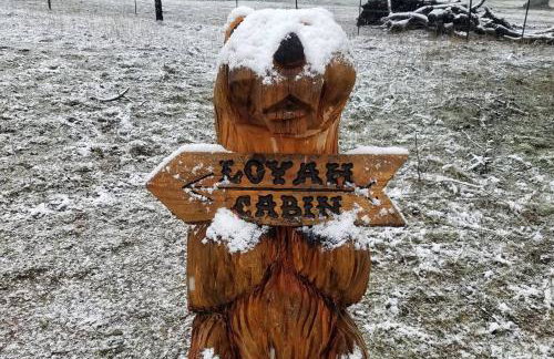 Loyah Cabin - Foto 24