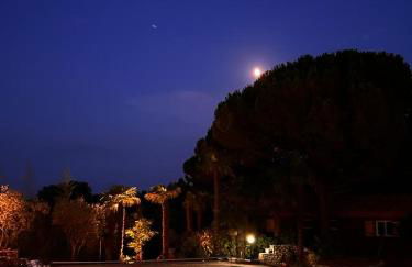 Sous le Grand Pin Piscine & Spa Gîtes Éden en Cévennes à Anduze Gard - Foto 58