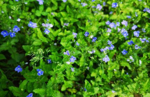 Mazurski Staw - Foto 51