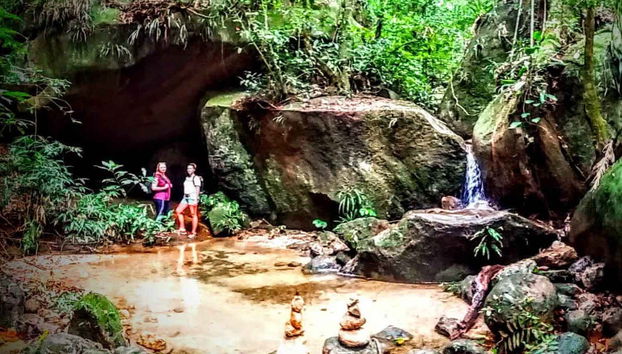 Incredible nature in Tijuca